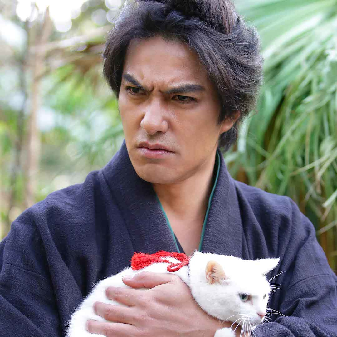 北村一輝來台倒數 宣傳貓侍2